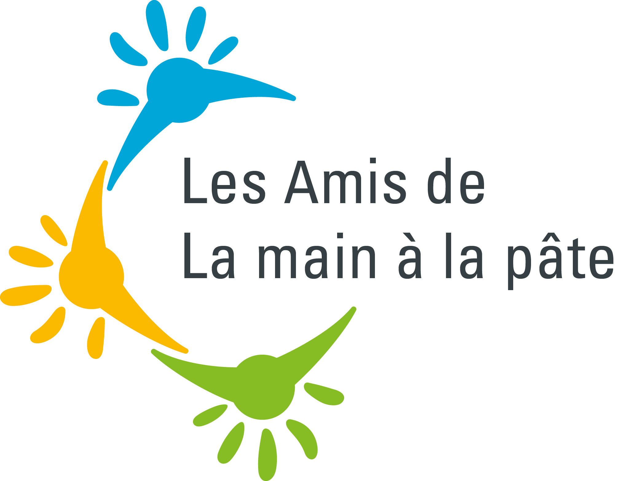 logo_Les_Amis_de_Lamap.png